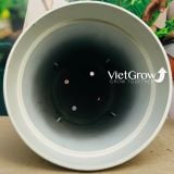 Chậu giả đá màu trắng đường kính 60cm - FLORAL GP4 