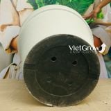  Chậu giả đá màu trắng đường kính 70cm - FLORAL GP5 