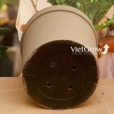  Chậu giả đá màu xám đường kính 70cm - FLORAL GP5 
