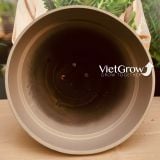  Chậu giả đá màu xám đường kính 70cm - FLORAL GP5 