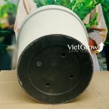  Chậu giả đá màu trắng đường kính 80.5cm - FLORAL GP6 
