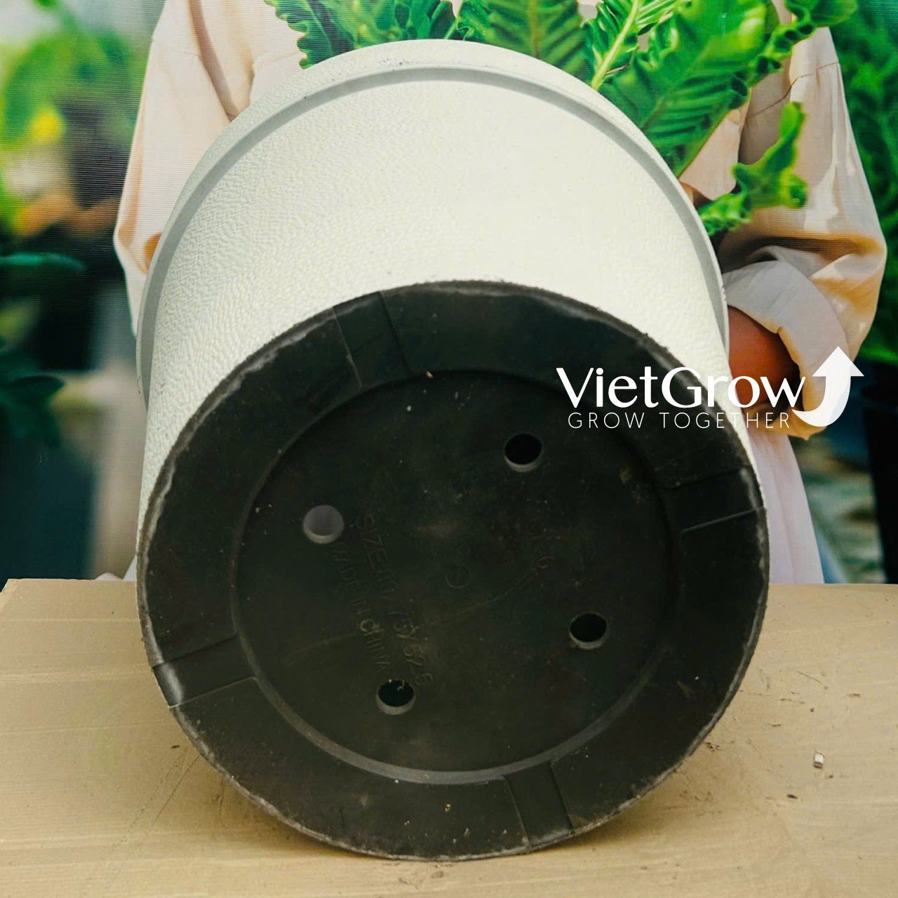  Chậu giả đá màu trắng đường kính 80.5cm - FLORAL GP6 