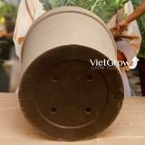  Chậu giả đá màu xám đường kính 80.5cm - FLORAL GP6 