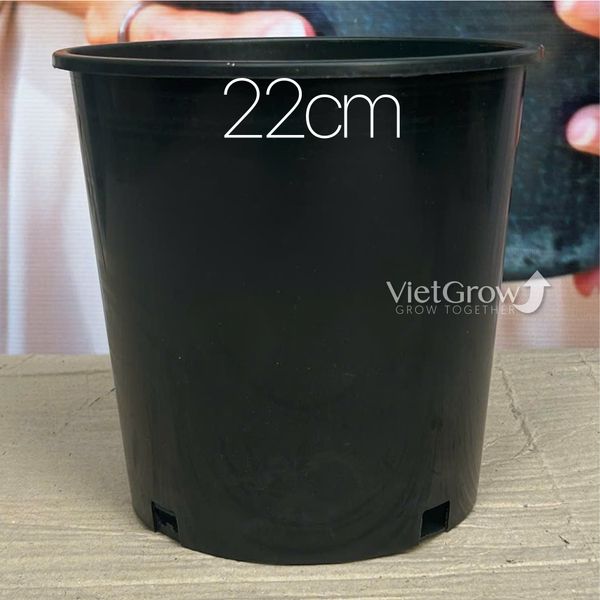  Chậu nhựa HELLO đường kính 22cm (H2) 