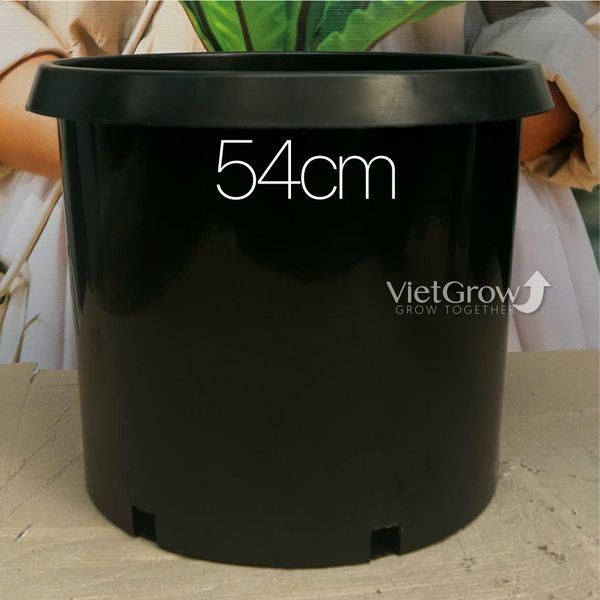  Chậu nhựa HELLO đường kính 54cm (H7) 