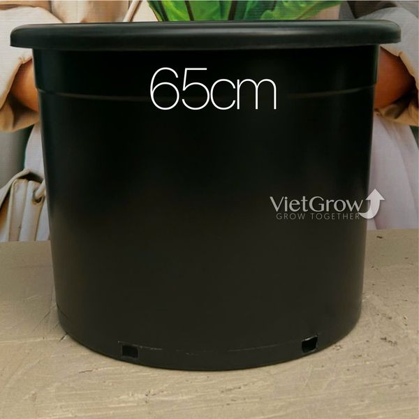  Chậu nhựa HELLO đường kính 65cm (H8) 