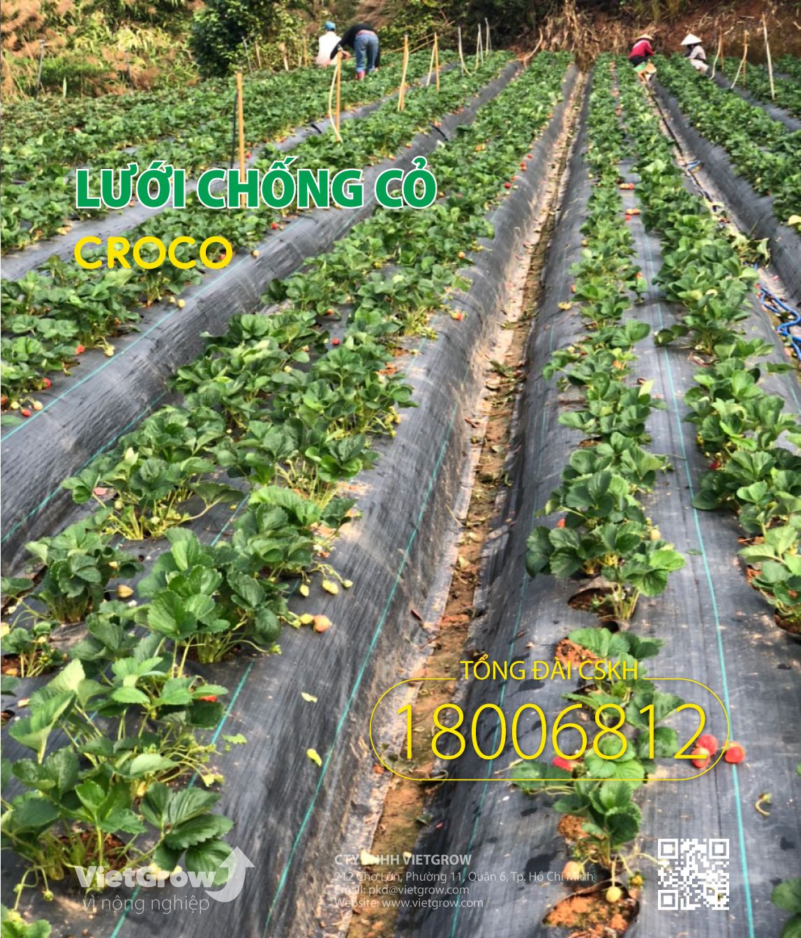  Lưới chống cỏ CROCO ( Cuộn dài 50m ) 