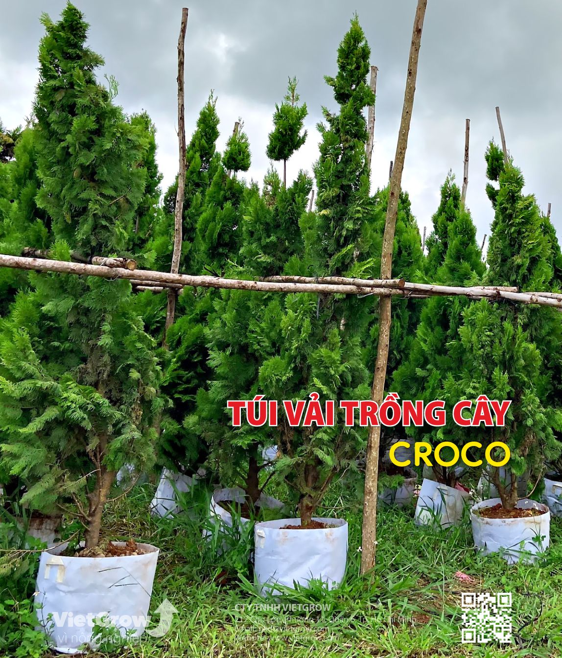  Túi vải trồng cây CROCO 