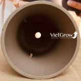 Chậu giả đá màu xám đường kính 20cm - FLORAL ZS1 
