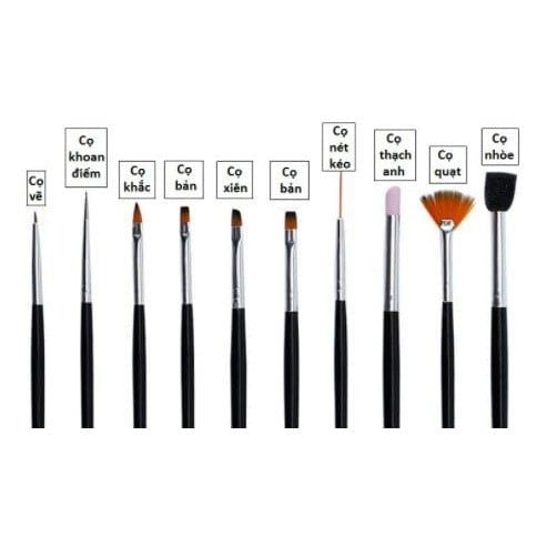  Bộ cọ SC (5c) - (NA2619) 