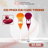  Cọ phủi dài cán trong (TO2731) 