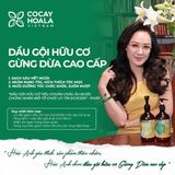  Combo gội xả gừng dừa cocayhoala 440g - (MP8532 MP8546 MP8547) 
