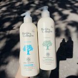  Cặp gội xả phục hồi Biotin 500ml (MP5769) 