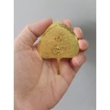  Lá Bồ Đề - TV0040 