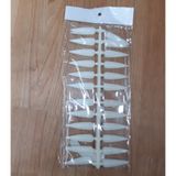  Móng vỹ xương cá nhọn (NA5320) 