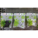  Móng vỹ vương miện (NA5402) 