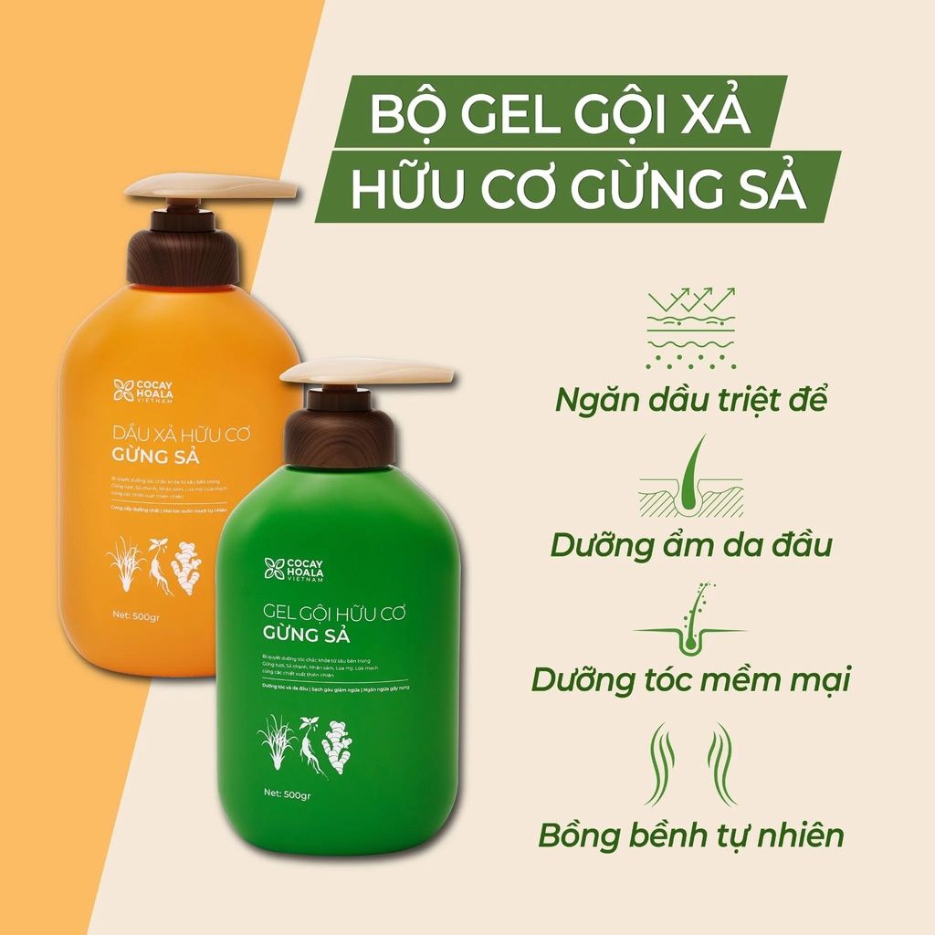  Combo gel gội xả gừng sả cocayhoala 500g - (MP8533 MP8548 MP8549) 