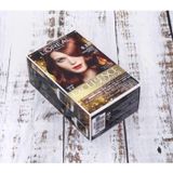  Thuốc Nhuộm Tóc LOreal Excellence Fashion (TO2206 TO2207 TO2209 TO2210) 