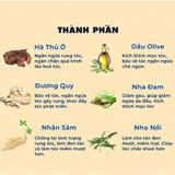  Gội nâu phủ bạc thảo dược Hamifa 25ml - MP8405 