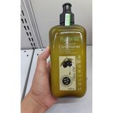  Dầu xả Hachi chiết xuất Oliu cho tóc gàu 500ml (MP8086) 