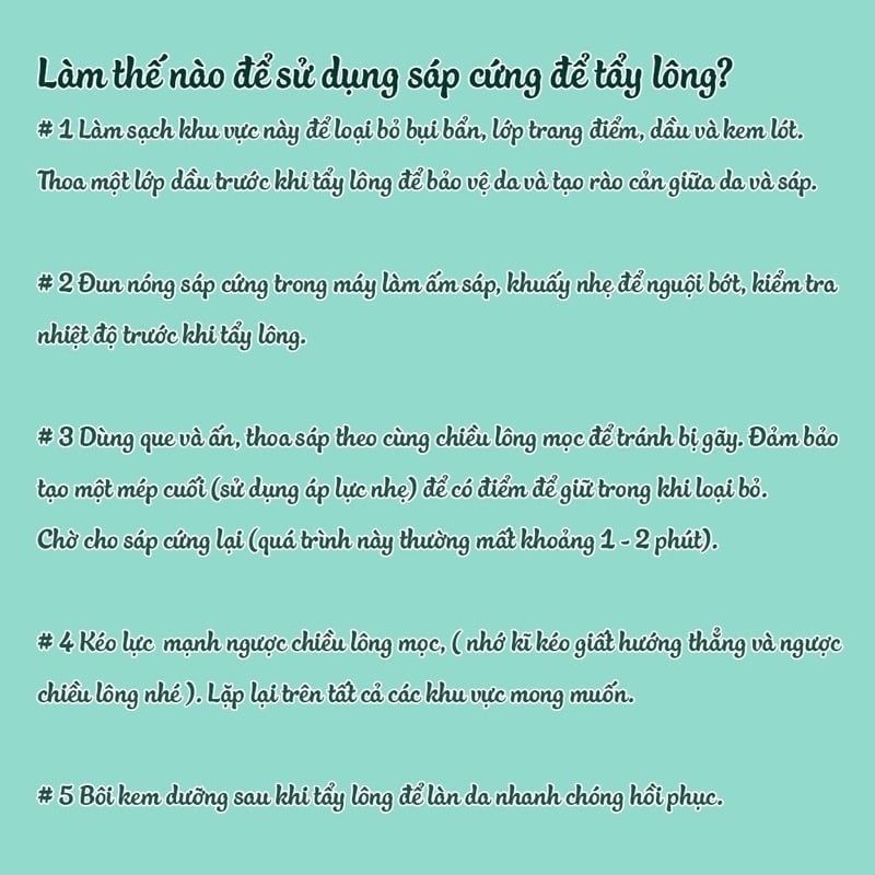  Nồi nấu sáp Pro- Wax100 (TO1769) 