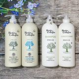  Gội, xả Biotin & Collagen Trắng - giảm gãy rụng 1000ml (MP7806) 