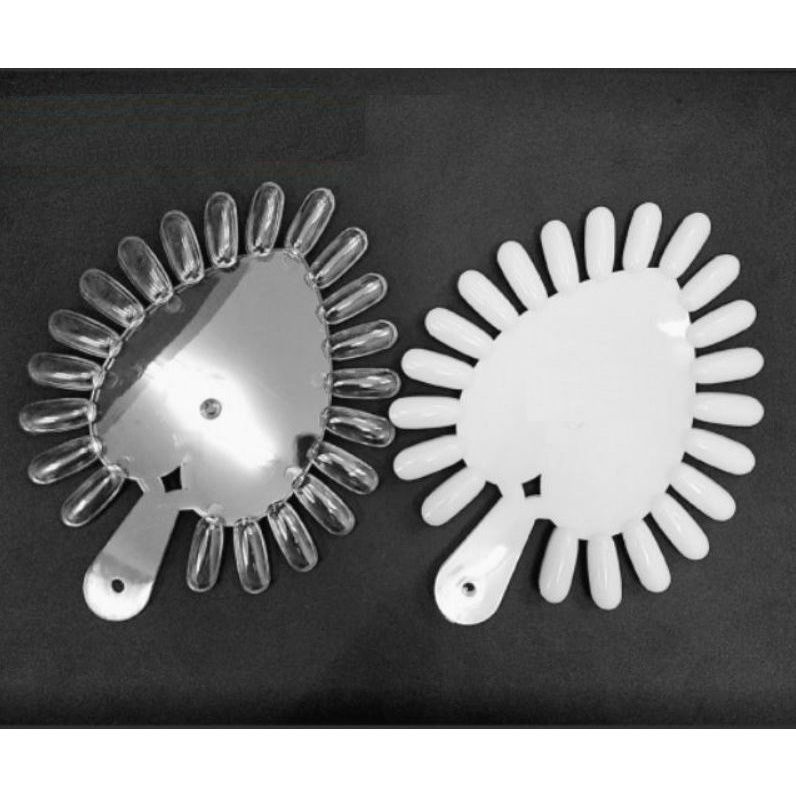  Móng vỹ quạt (NA5321) 