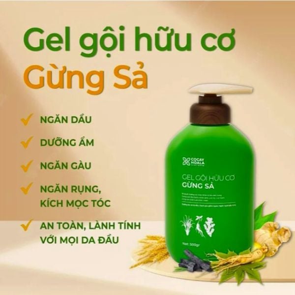 Combo gel gội xả gừng sả Cocayhoala 500g