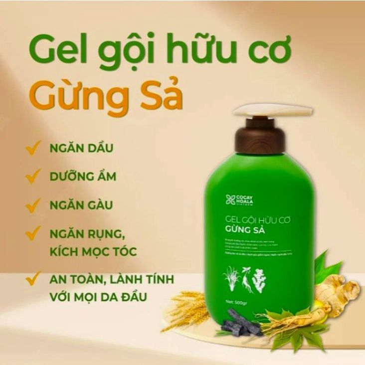  Combo gel gội xả gừng sả cocayhoala 500g - (MP8533 MP8548 MP8549) 