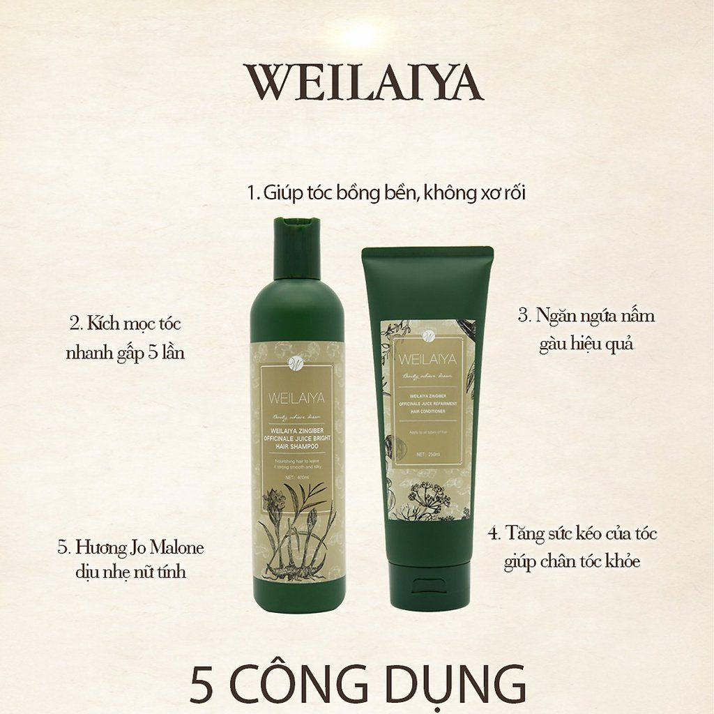  Gội Xả Weilaiya xanh kích thích mọc tóc (MP7846) 