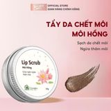  Tẩy da chết môi Cỏ Mềm 18g (MP9420) 