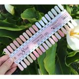  Sơn gel French Cre8tion Màu P21 - W04 (SO1730 - SO1741) 