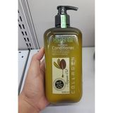  Dầu xả Hachi Argan cho tóc khô & hư tổn 500ml (MP8085) 