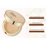  Phấn phủ Gold Collagen Thefaceshop #203 (MP8244) 