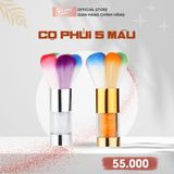  Cọ phủi 5 màu (TO2730) 