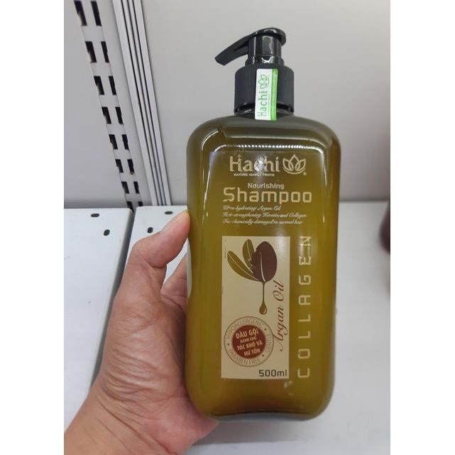  Dầu gội Hachi Argan cho tóc khô & hư tổn 500ml (MP8081) 