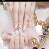  Gel vẽ Aifen (NA6004 - NA6015) 