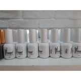  Gel Prosper 20 (Bảng màu 3) NA6231 - NA6243 