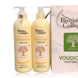  Gội, xả Biotin & Collagen Vàng - phục hồi tóc hư tổn 500ml (MP7809) 