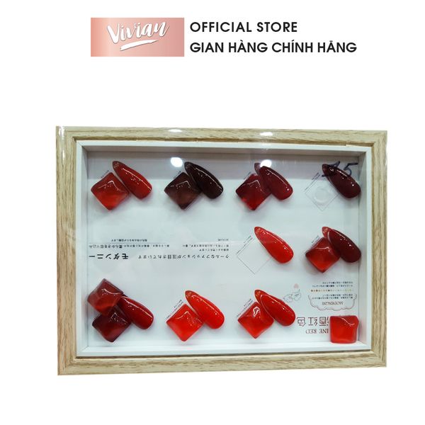 Set Sơn Gel Modengni - 15