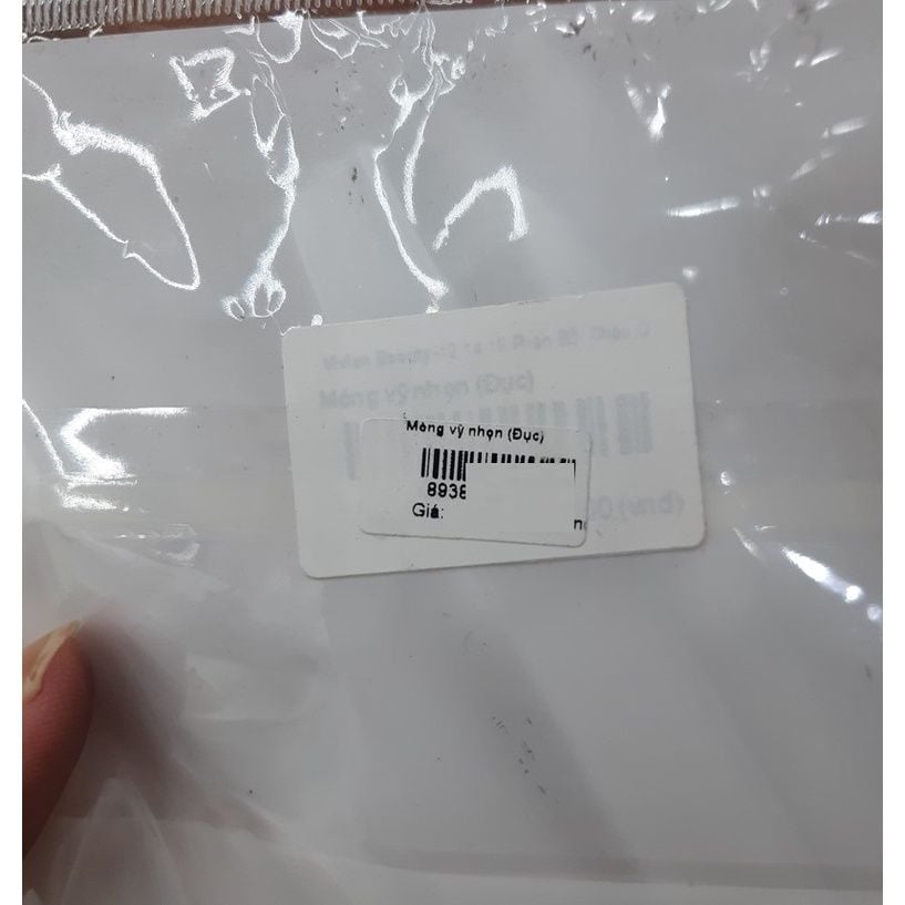  Móng vỹ nhọn (Đục) - NA5513 