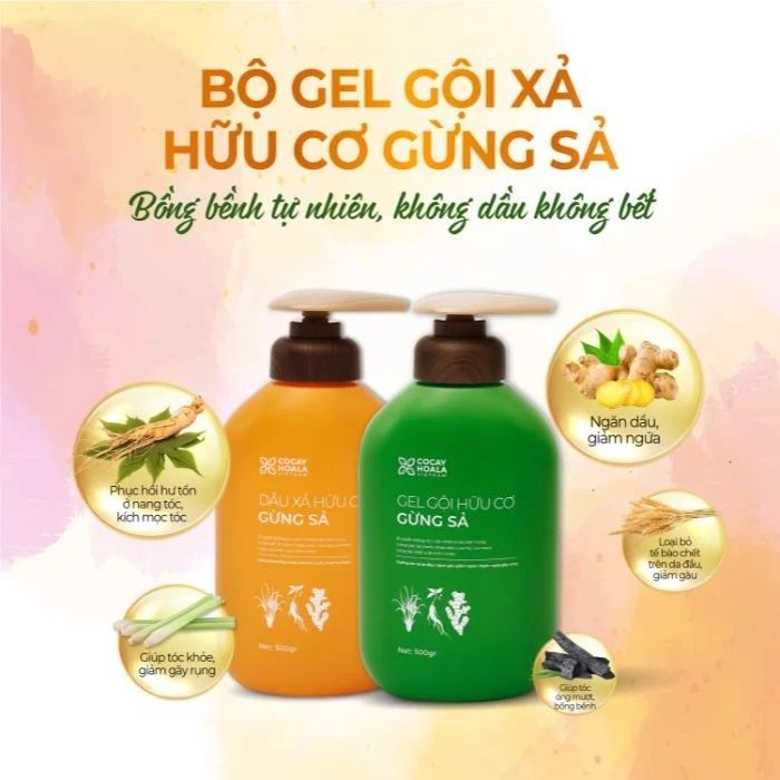  Combo gel gội xả gừng sả cocayhoala 500g - (MP8533 MP8548 MP8549) 