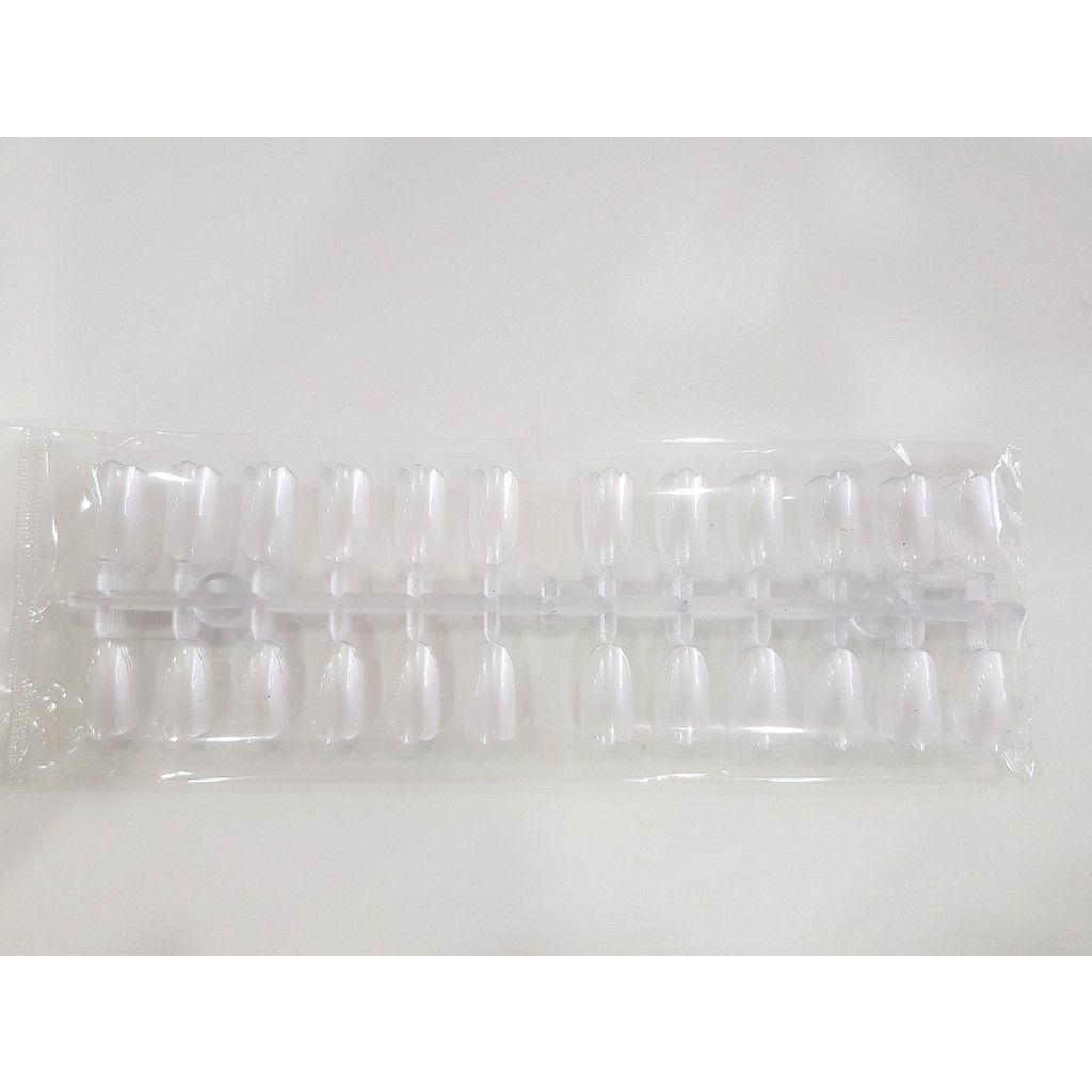  Móng vỹ chồi hoa (NA5397) 