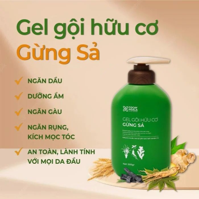  Combo gel gội xả gừng sả cocayhoala 500g - (MP8533 MP8548 MP8549) 