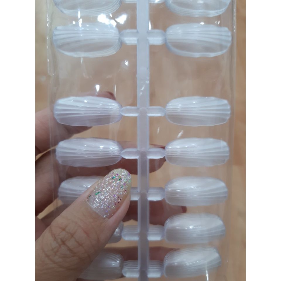  Móng vỹ sọc (NA5399) 