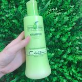  Dầu gội Olive Chihtsai 500ml (MP0403) 