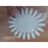  Móng vỹ Oval 30D (NA5336) 