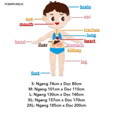  Tranh mica EPeBen dán tường nổi 3d Hệ thống cơ thể người decor trang trí Phòng cho bé, Phòng ngủ, Phòng khách, Mẫu giáo 