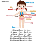 Tranh mica EPeBen dán tường nổi 3d Hệ thống cơ thể người decor trang trí Phòng cho bé, Phòng ngủ, Phòng khách, Mẫu giáo 