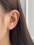  14K Daisy piercing 